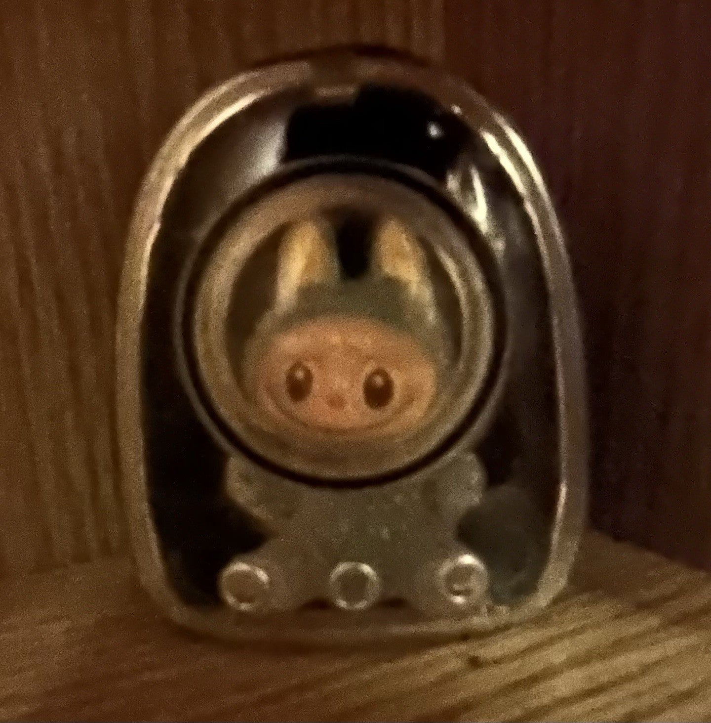 1Pc Labubu Mini Black Carry Case With Glow Mini DOLL For Plush 17 Cm Dolls