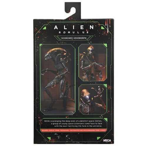 OFFICIAL NECA ALIEN:ROMULUS SCORCHED XENOMORPH ULTIMATE 9" ACTION FIG DUE 30/4