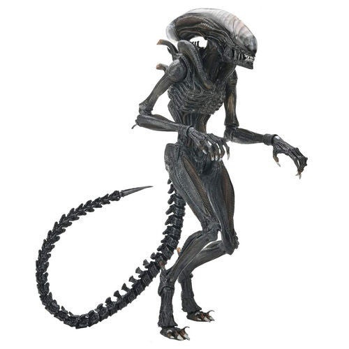 OFFICIAL NECA ALIEN:ROMULUS SCORCHED XENOMORPH ULTIMATE 9" ACTION FIG DUE 30/4