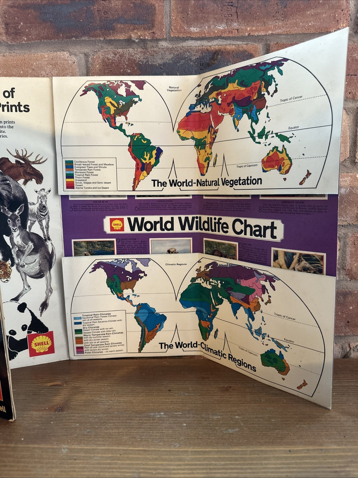 The World Wildlife Album From Shell - Complete With All 16 x 3-D Prints Mounted3
