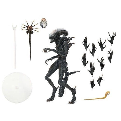 OFFICIAL NECA ALIEN:ROMULUS SCORCHED XENOMORPH ULTIMATE 9" ACTION  FIG DUE 30/4