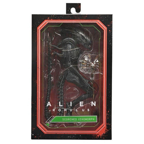 OFFICIAL NECA ALIEN:ROMULUS SCORCHED XENOMORPH ULTIMATE 9" ACTION  FIG DUE 30/4